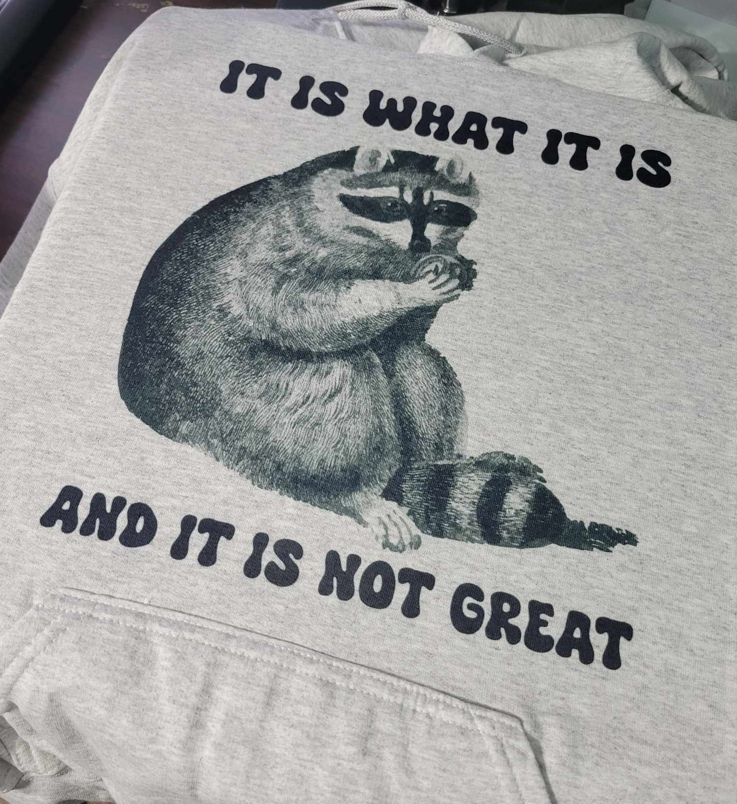 It is What It is and It is Not Great *NEW*